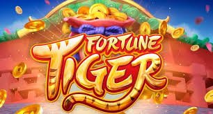 Mobile slots browsing on 3999 bdt with account safety and privacy context
